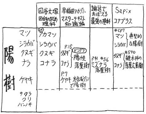 陽木|陰樹の特徴と陽樹の特徴 違いも解説 – 庭師の独り言